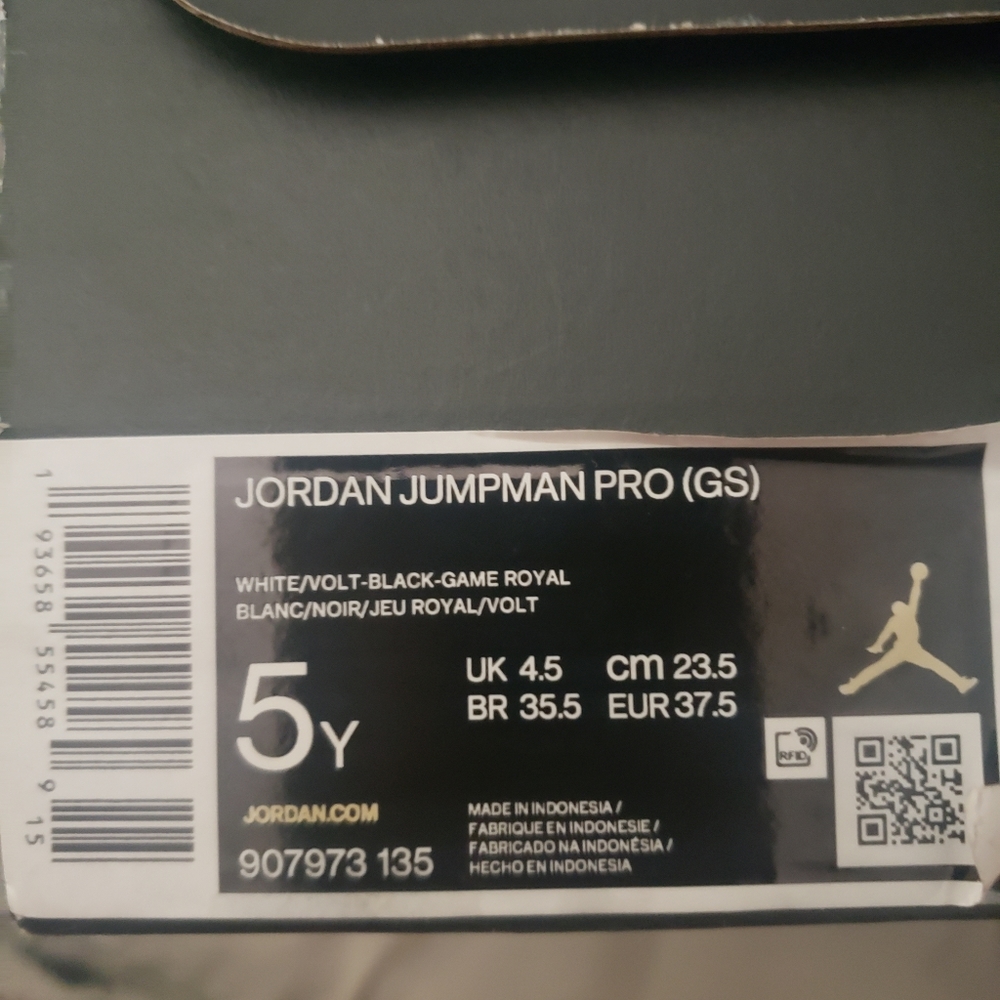 Jordan jumpman pro gs